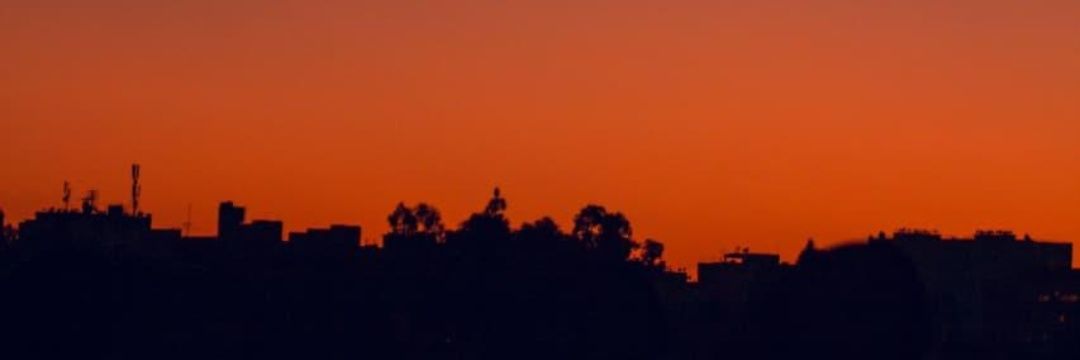 Breakout_Buzz🐦 banner