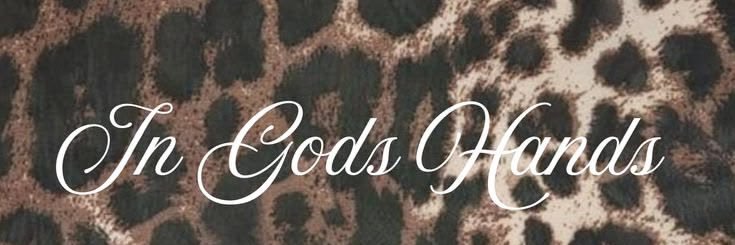 shetoogolden's profile banner image