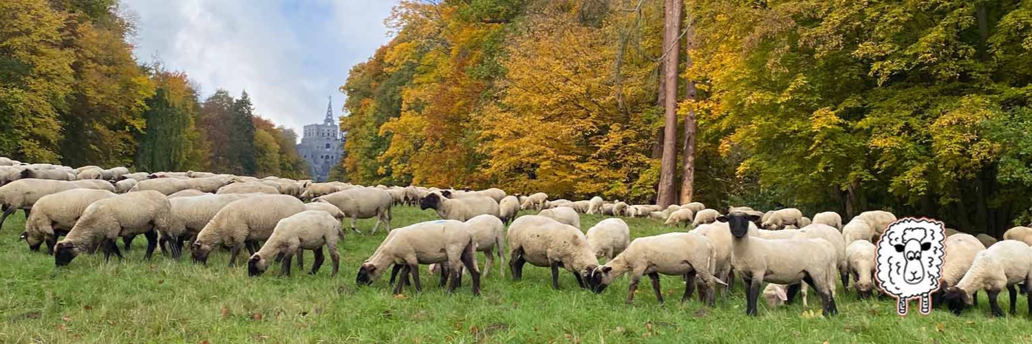 Martina Kind Bourque banner