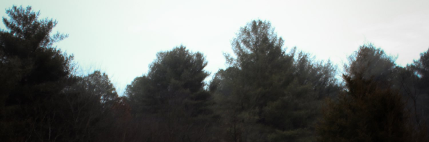 adri banner