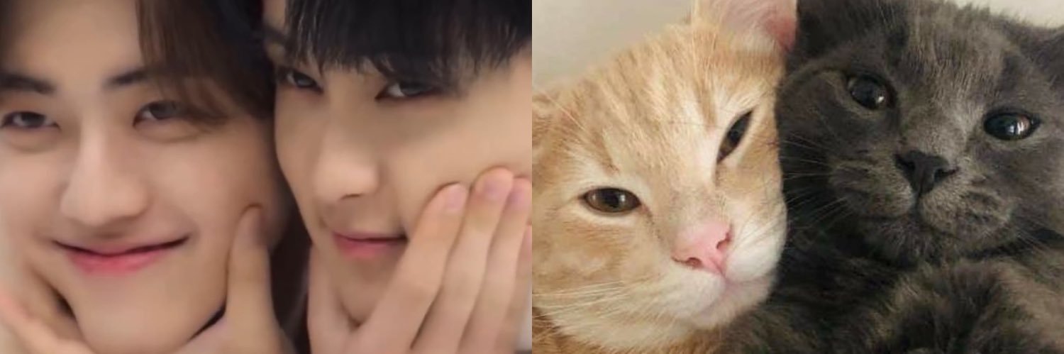 💘 banner