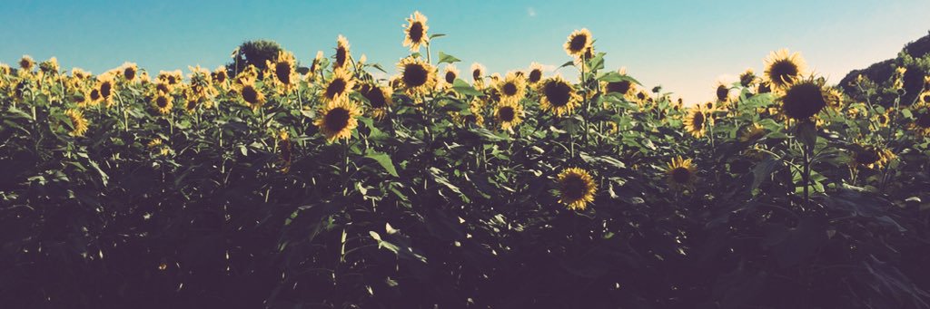 Windy_LaGrone's profile banner image