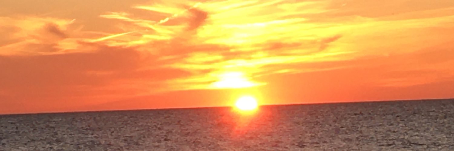 barb494's profile banner image