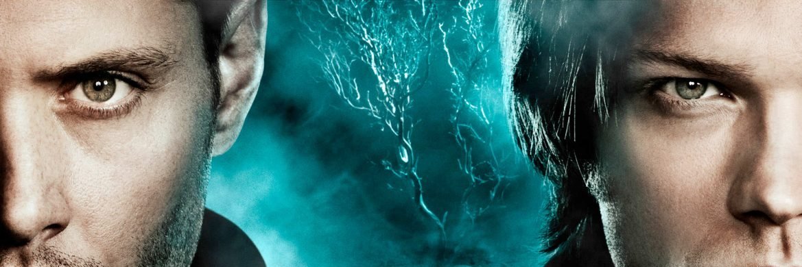 thatcountrycat's profile banner image