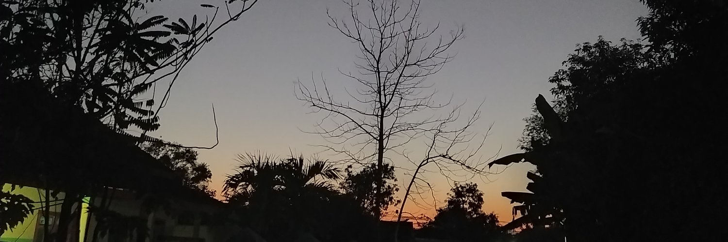 fransferantika's profile banner image