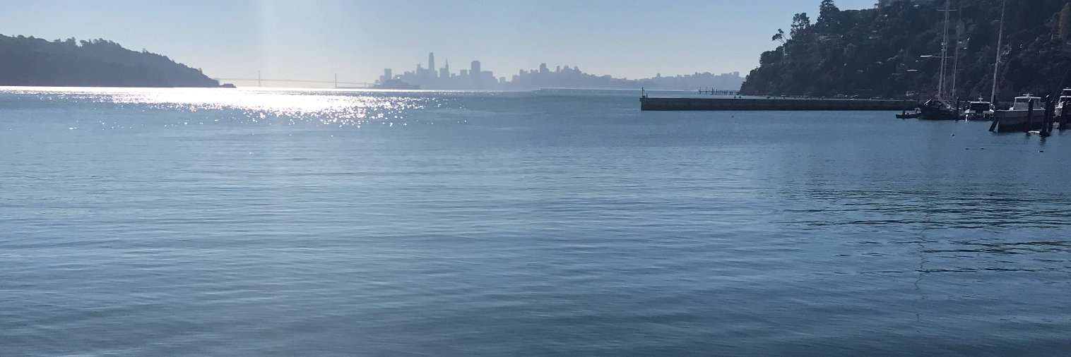 gnicoud1's profile banner image
