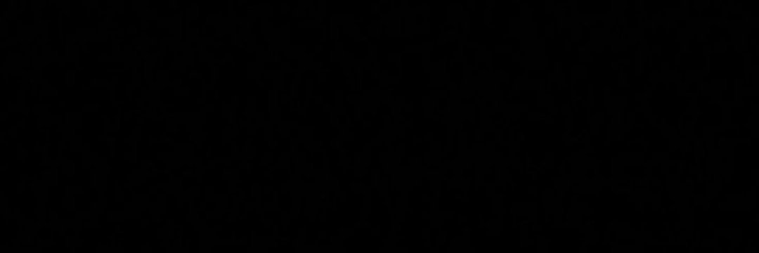 Franz Eher Nachfolger banner