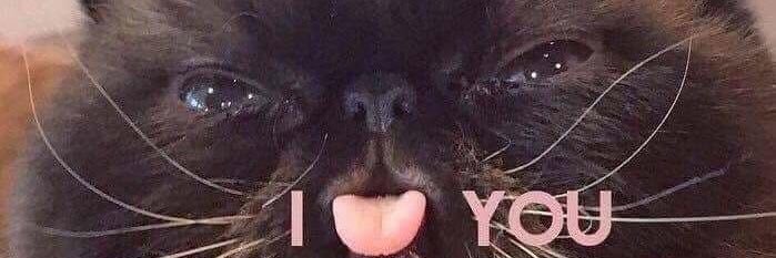 Oh_Geezus2's profile banner image
