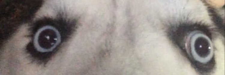 MaxGrullon_'s profile banner image