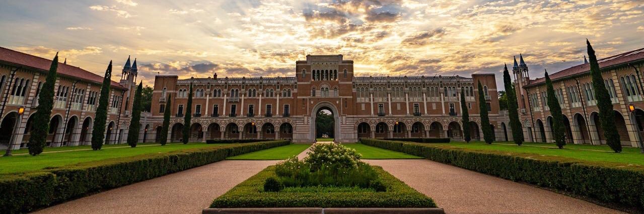 Shamsha Damani banner