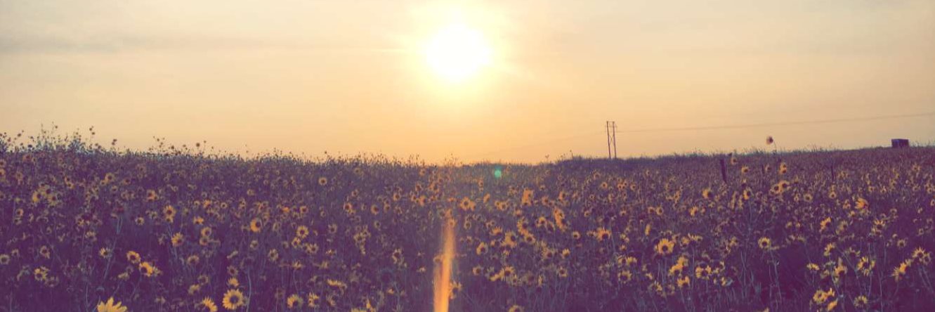 brysonlane__'s profile banner image