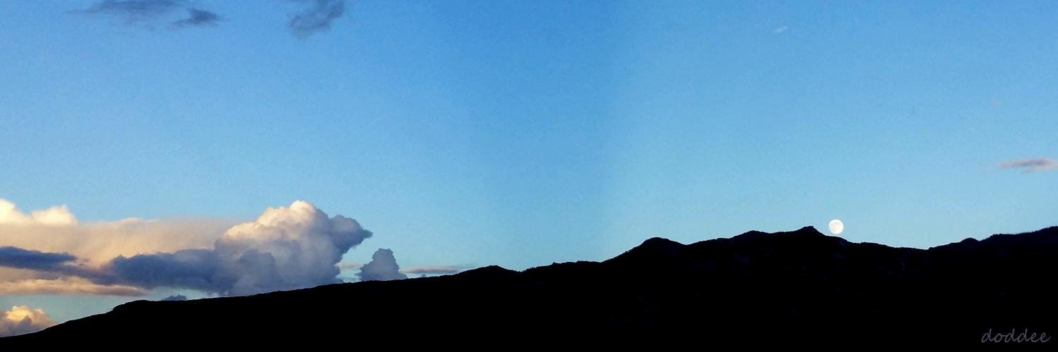 Doddee's profile banner image