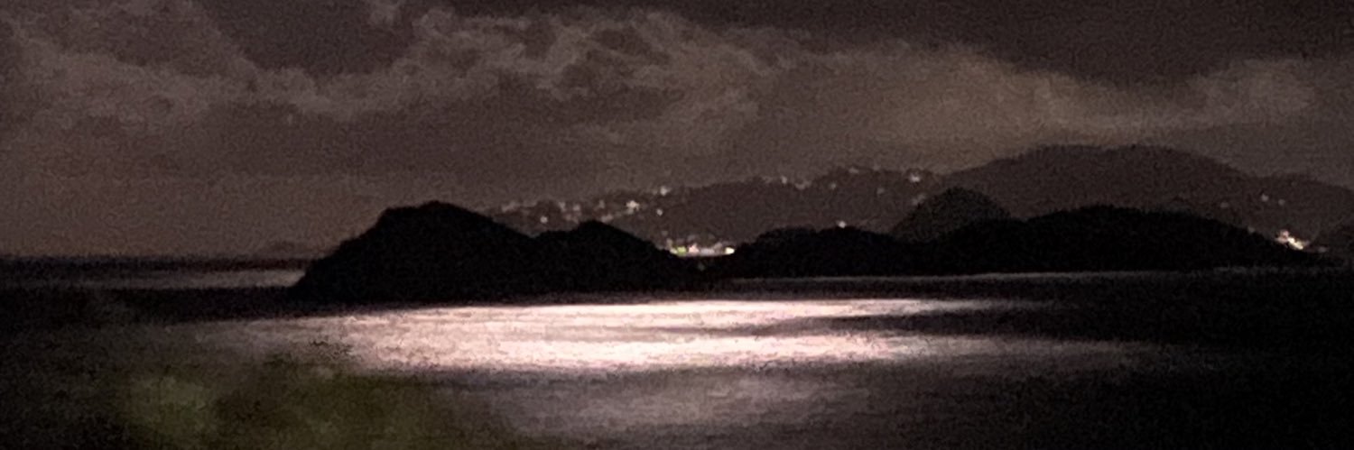 fvnkshui's profile banner image