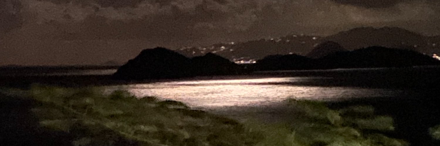 silversurf333r's profile banner image