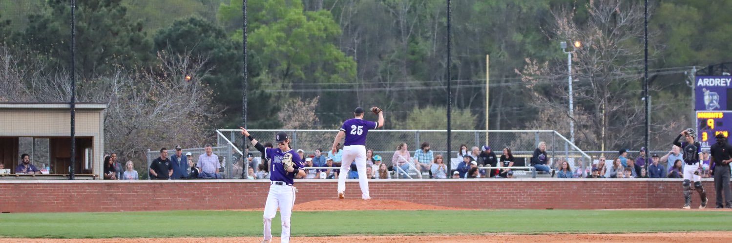 Anthony Dorner banner