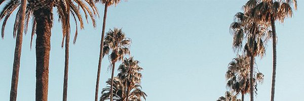 MotiveCreative Profile Banner