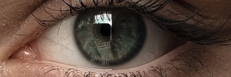 Only For Buying Things. banner