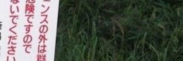 tomi3_'s profile banner image