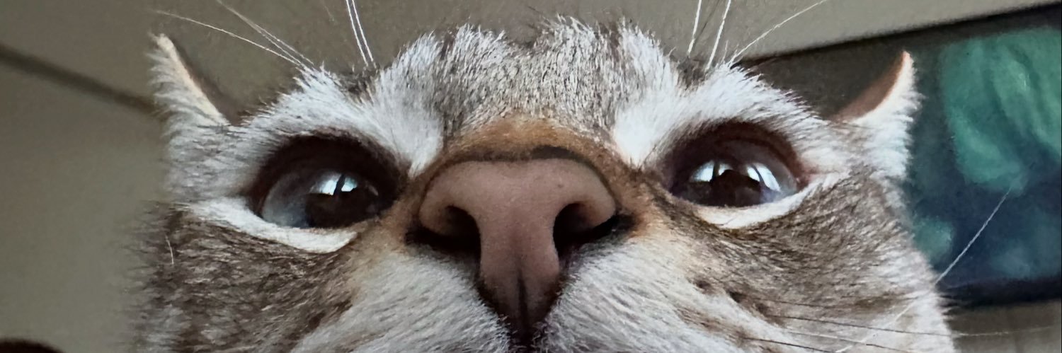 gonzasmind_'s profile banner image