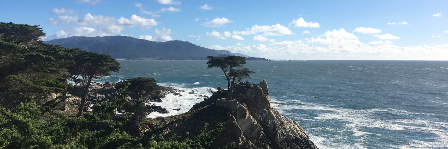 Mike Peterson banner