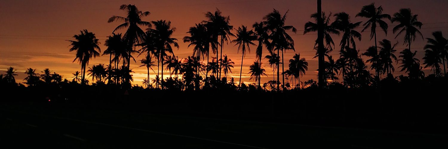 bernpineda's profile banner image
