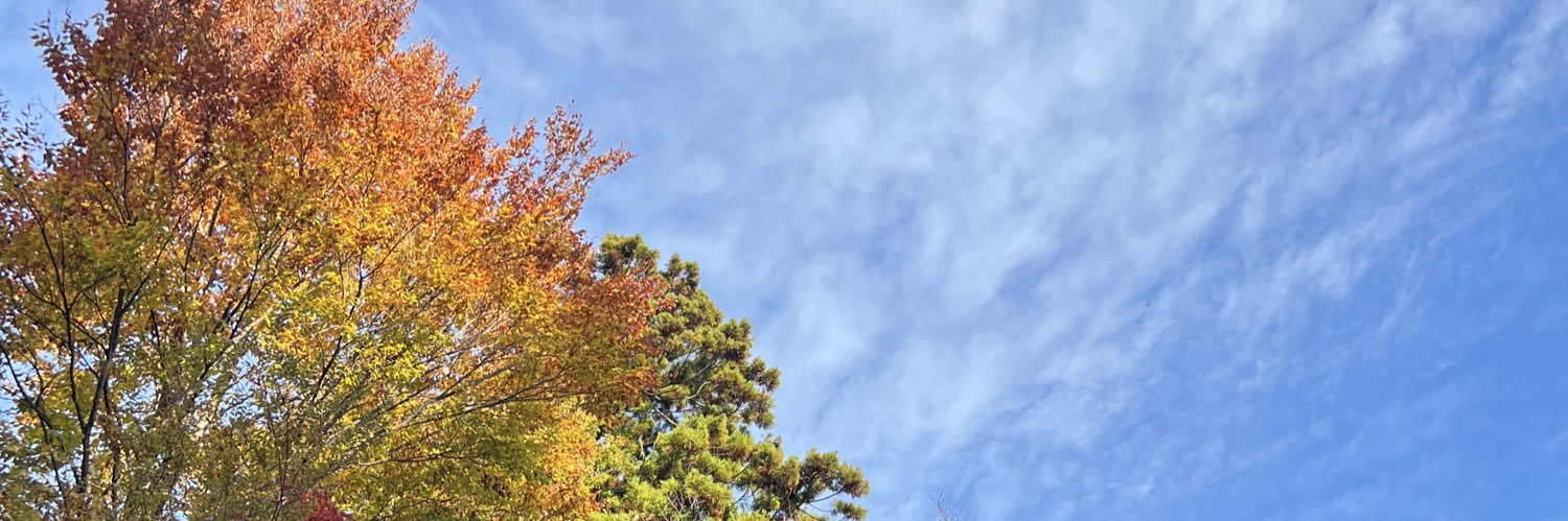 mnWCSV's profile banner image
