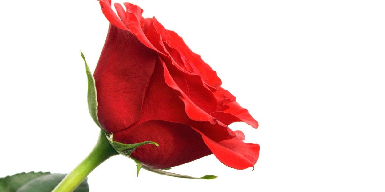 LiveLoveAspire's profile banner image