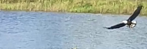 sammycoltrane banner