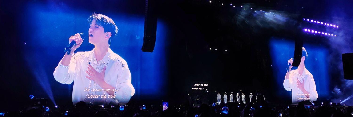 straydinary_'s profile banner image