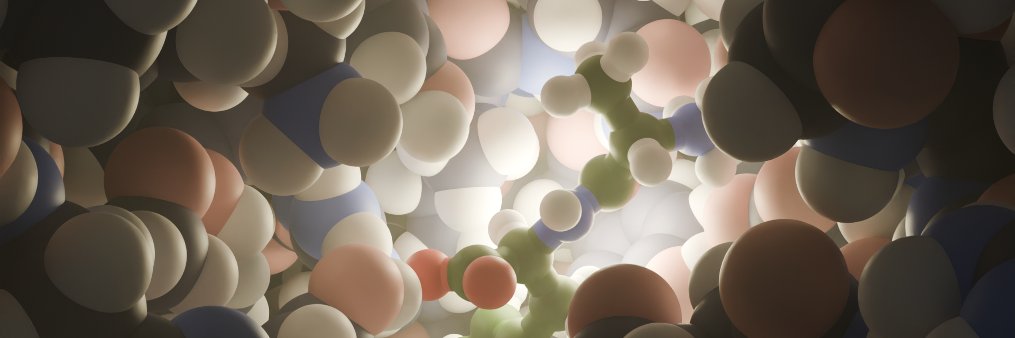 Simon Lichtinger banner