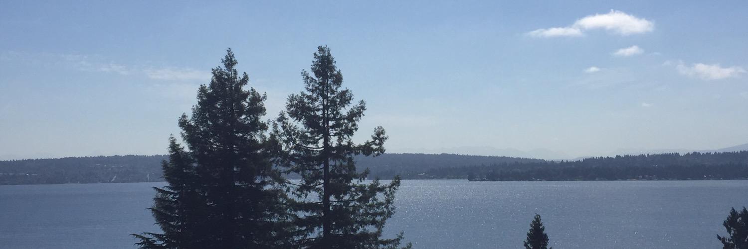 pete_pedersen banner