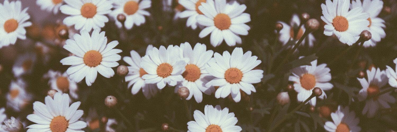 Agos_C's profile banner image