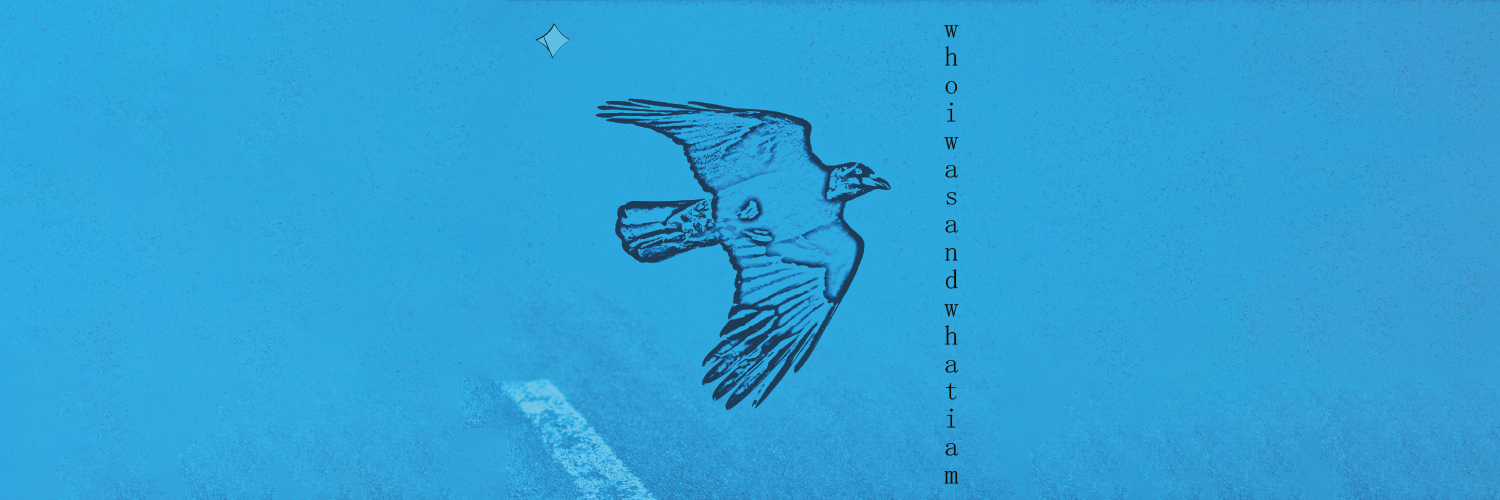 Shane O'Neill banner