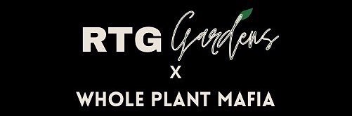 Whiz Whalifa - 6/100 banner