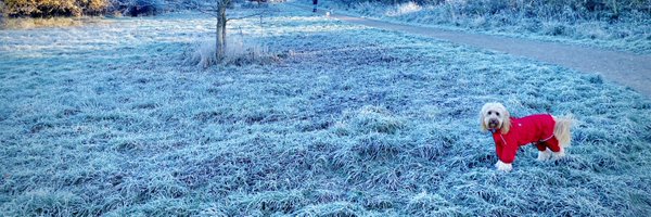 andrewcporter Profile Banner