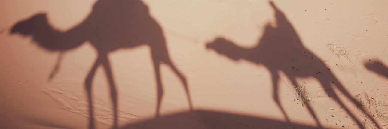 LACASADELVIAJE's profile banner image