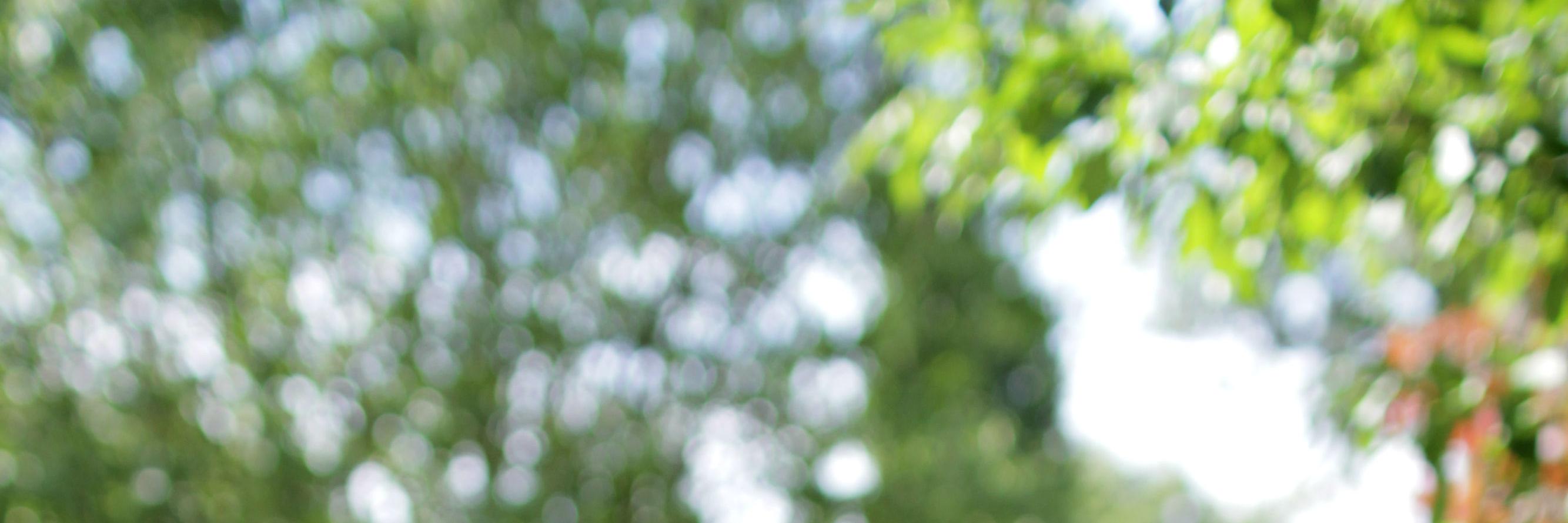 lenalou's profile banner image