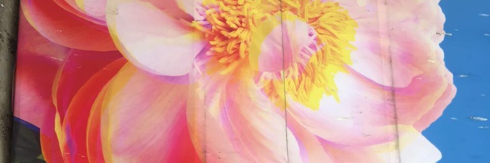 Solana Larsen banner