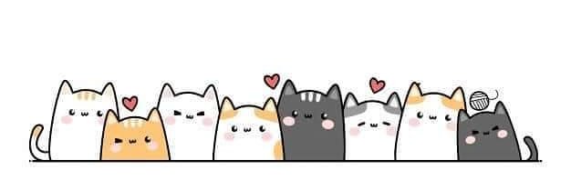 chelitatorresp's profile banner image