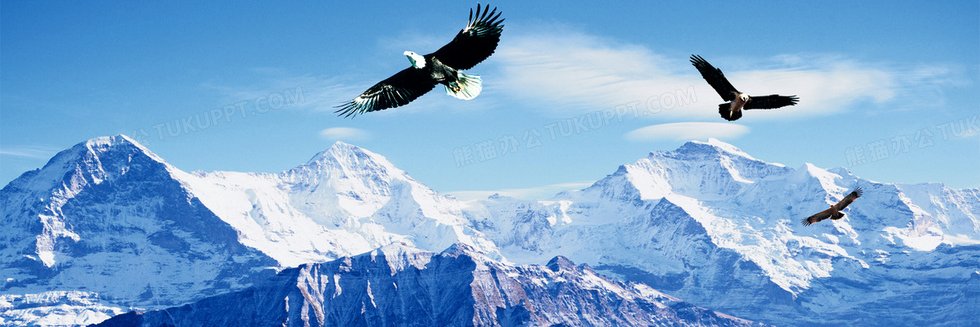 metaeagle8's profile banner image
