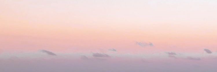rosesetdd's profile banner image