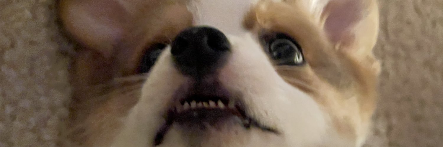 Mfmason21's profile banner image