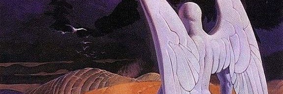 DM banner