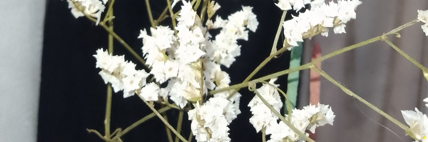 escritoraargen's profile banner image