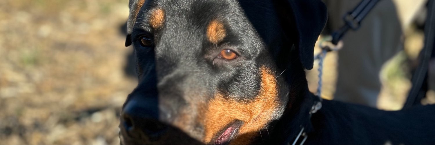 EMannn712's profile banner image