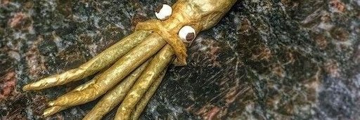 SQUNT banner