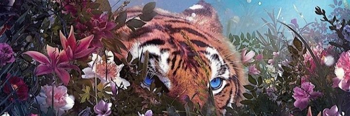And_U29's profile banner image