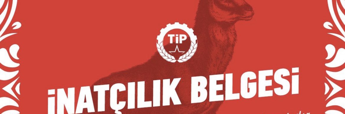SedatAkgl's profile banner image