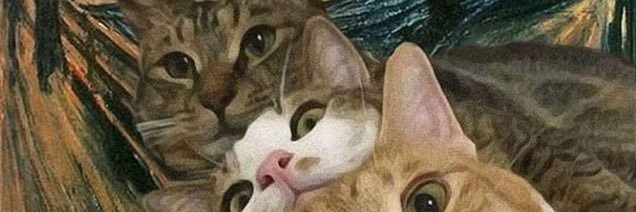 EbrarrSevik's profile banner image