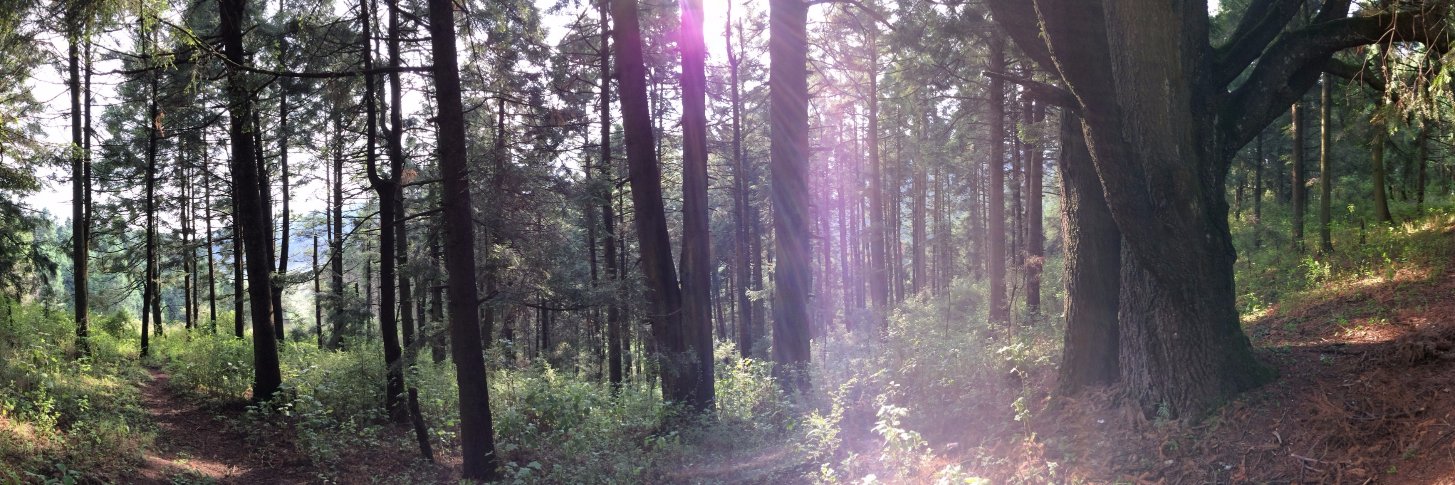 ruzo ya no vive aquí banner